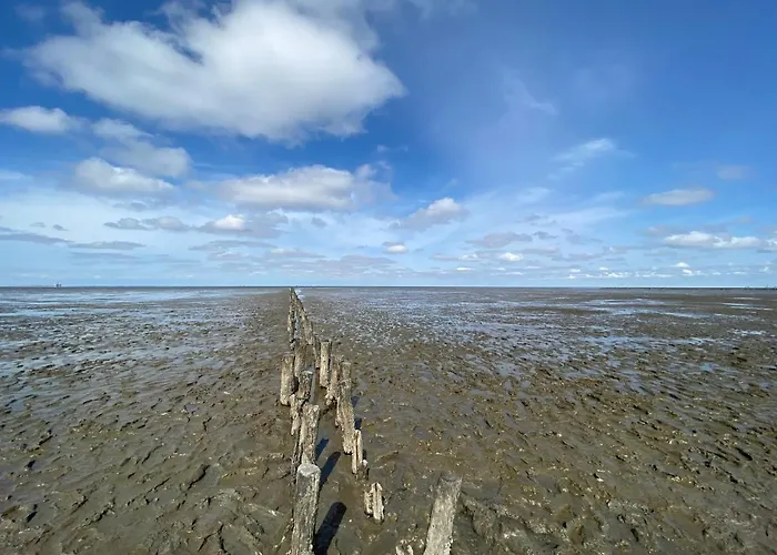 Kleines Doppelzimmer Mit Eigenem Bad Und Kuehlschrank, Frisch Saniert Friedrichskoog